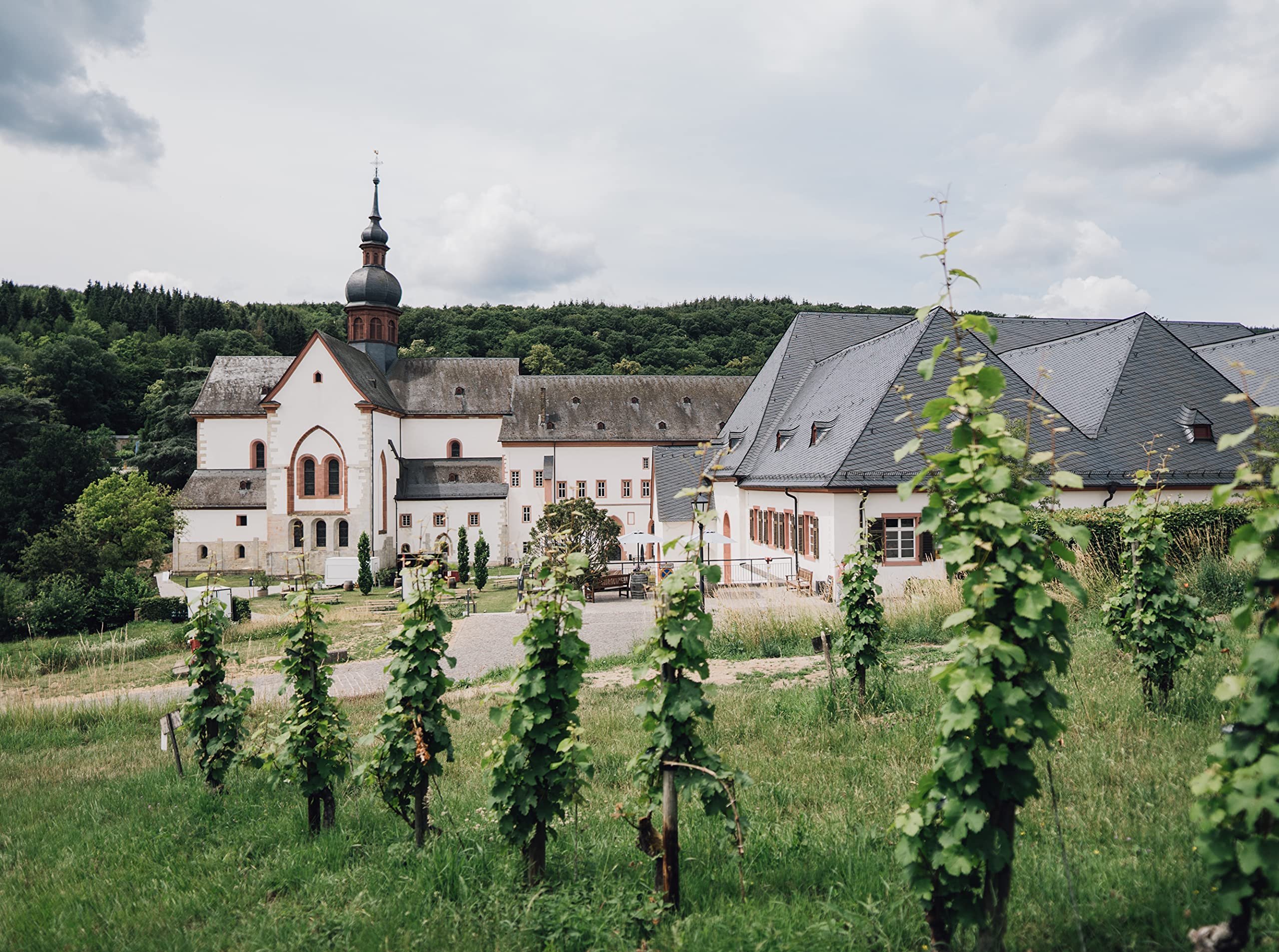 kloster-eberbach-riesling-feinherb-0-75-l-rheingau-wei-wein image 8