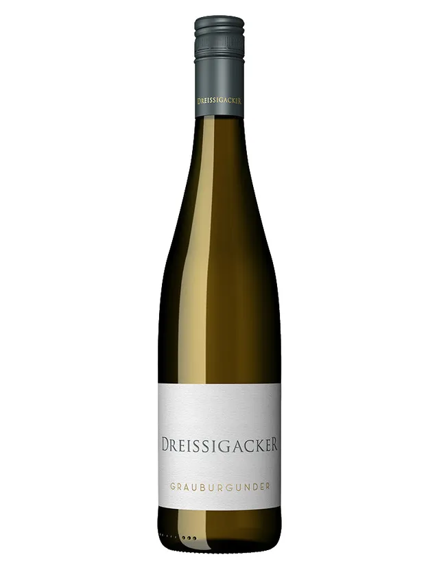 dreissigacker-grauburgunder-2025-gutswein image 1