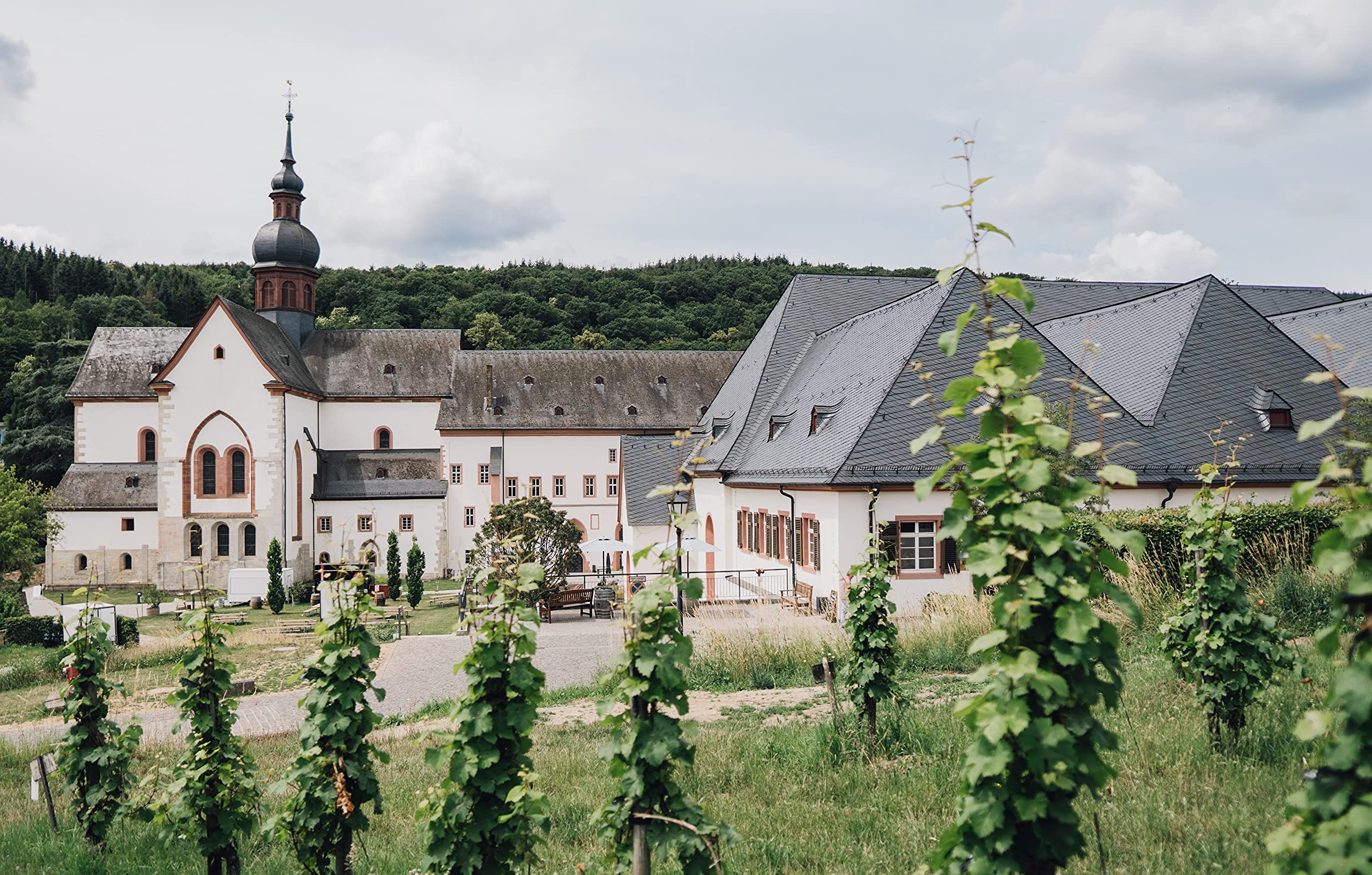 kloster-eberbach-riesling-trocken-vdp-gutswein-wei-wein-0-75-l-rheingau image 8