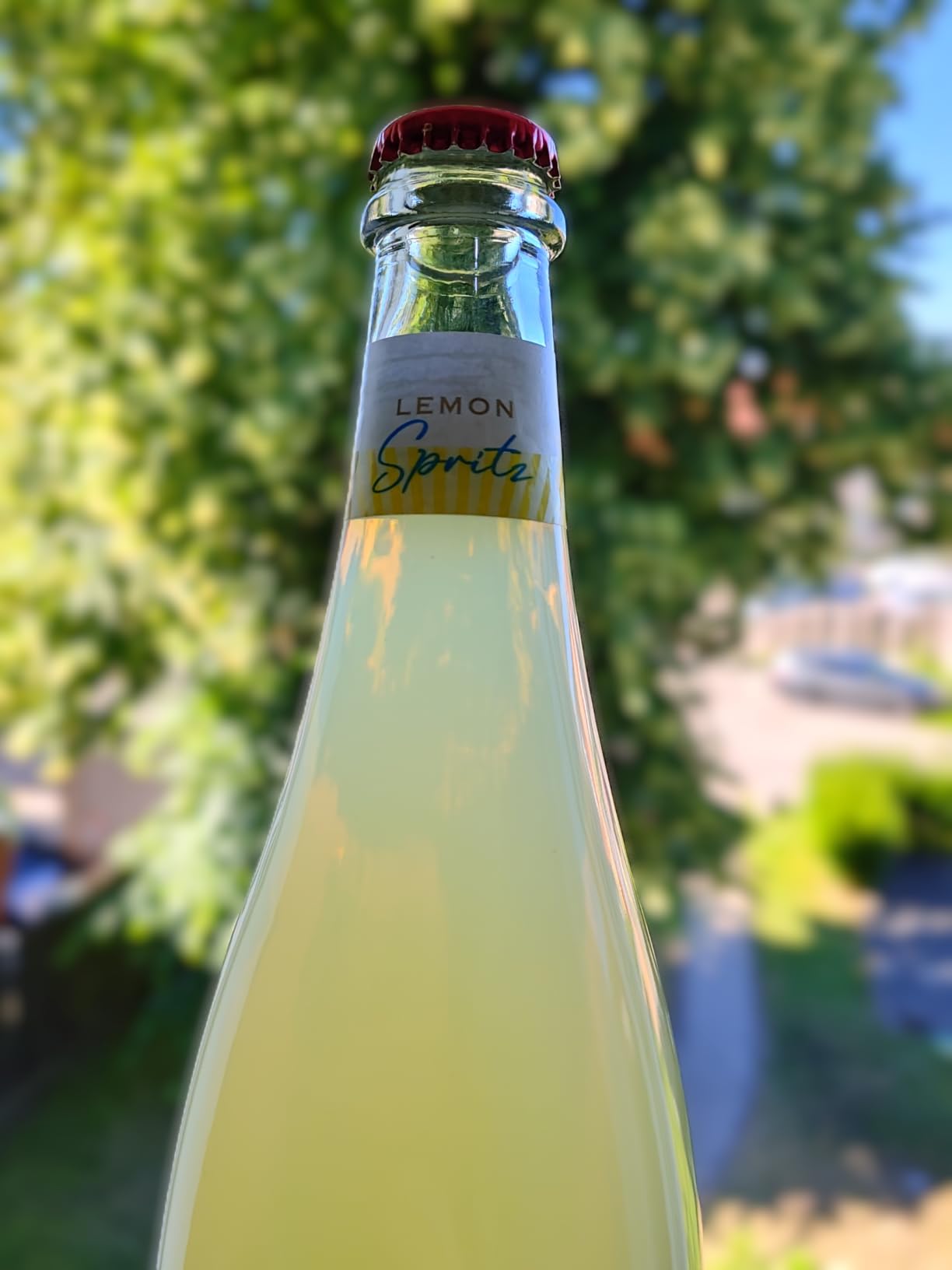 Frischer Zitronen-Secco