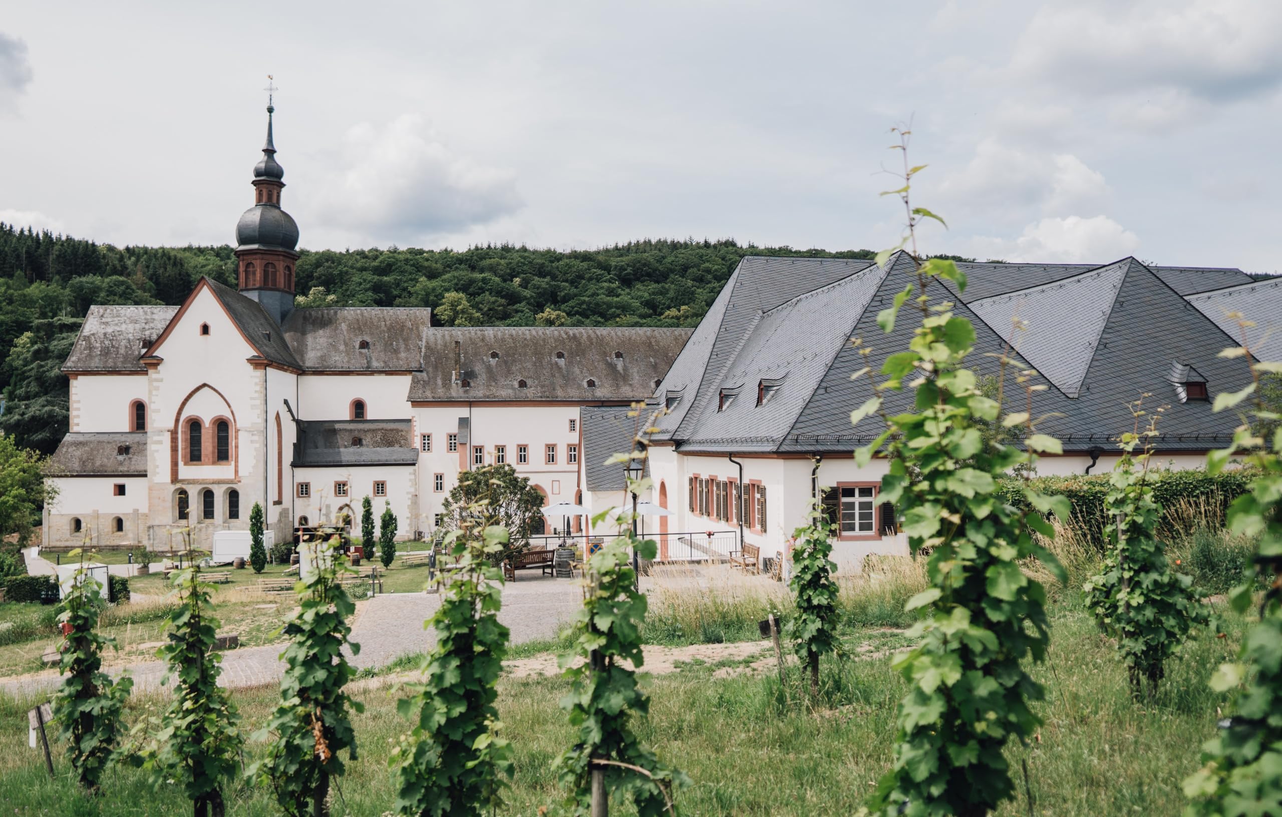kloster-eberbach-grauburgunder-trocken-6-x-0-75l image 4