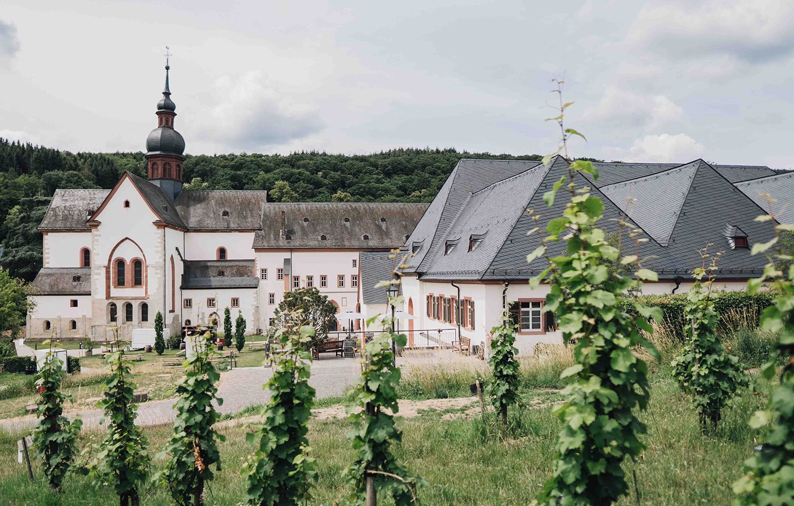 kloster-eberbach-riesling-kabinett-fruchtig-wei-wein-0-75-l-rheingau image 7