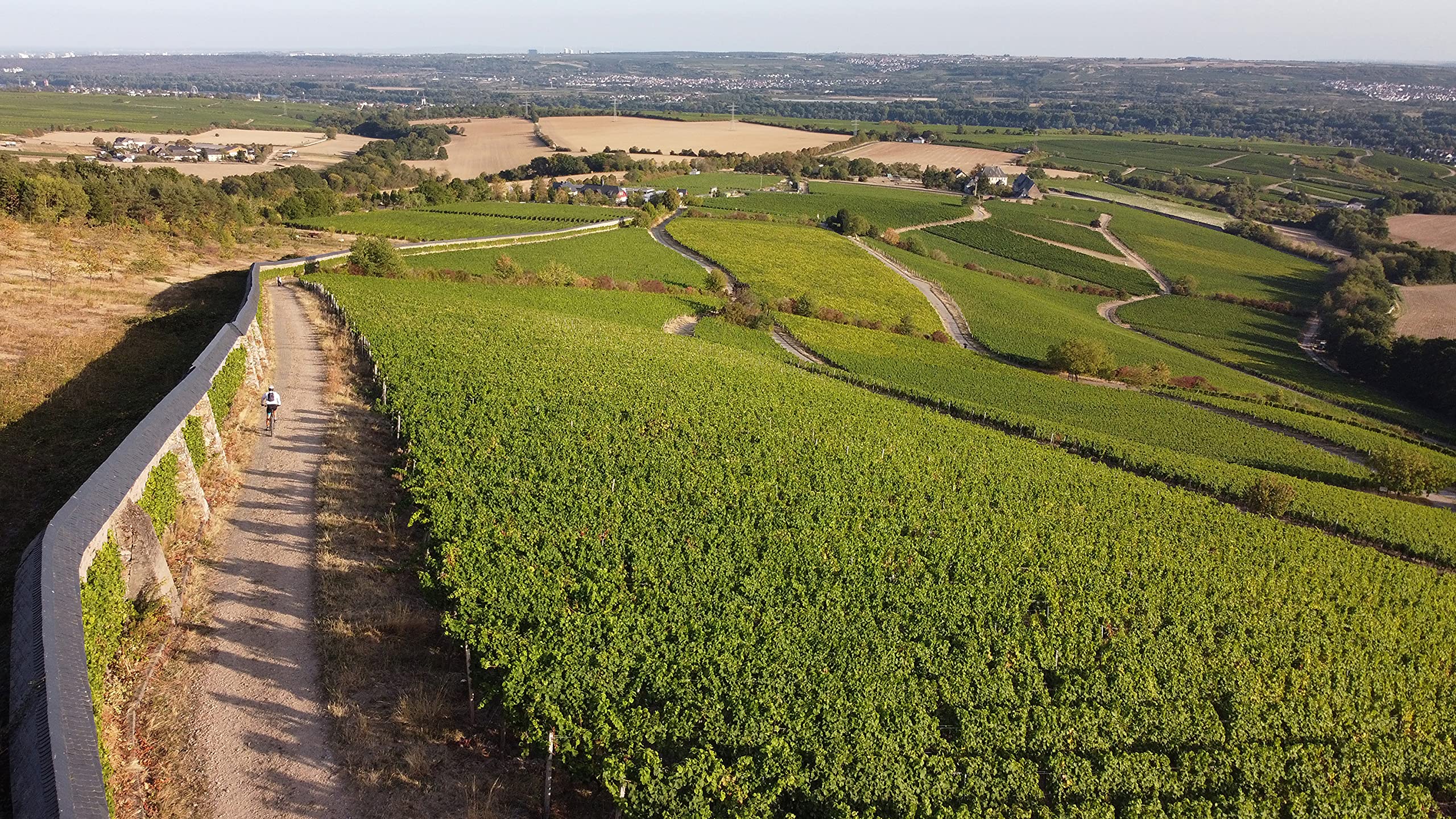 kloster-eberbach-riesling-fruchtig-0-75-l-rheingau-wei-wein image 6